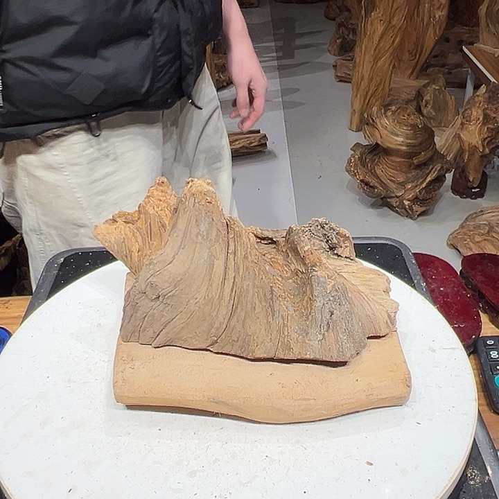 松木（琥珀木）龚*良