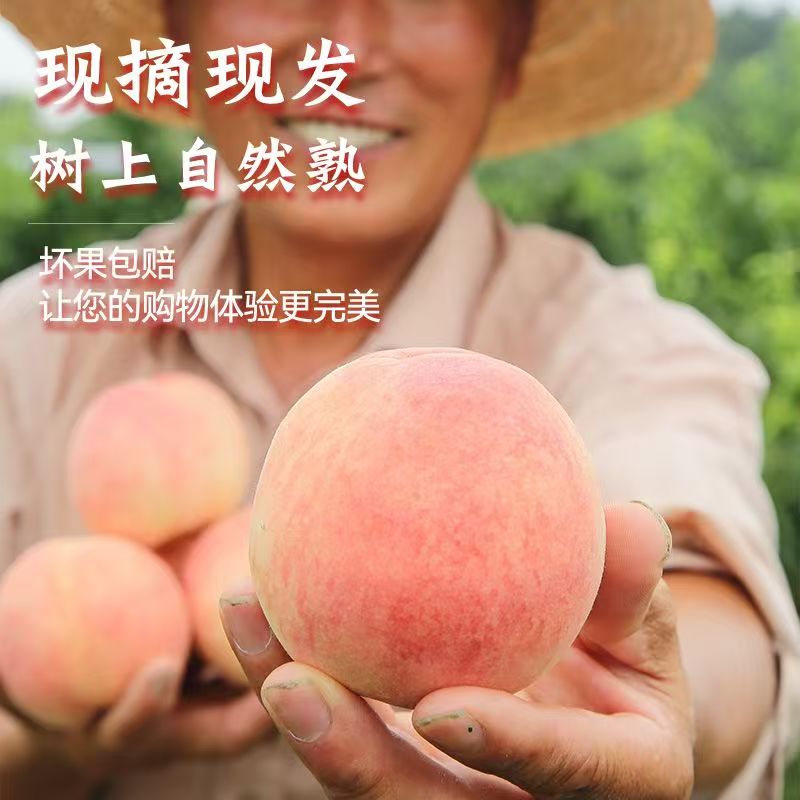 正宗凤凰水蜜桃白凤湖景水蜜桃夏日尝鲜新鲜应季水果香甜爆汁皮薄