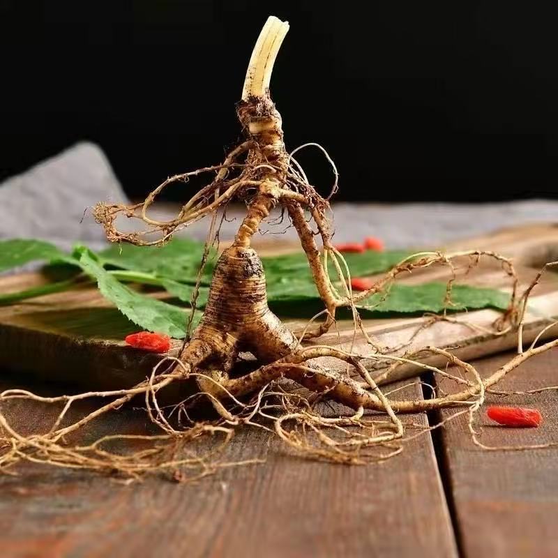 【大美丽专属】长白山林下觅货