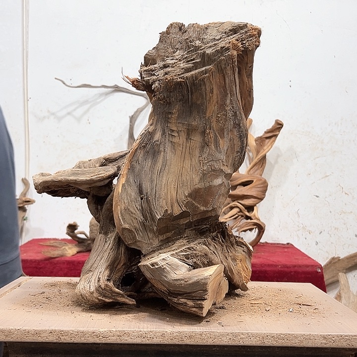 柏木熟****?我们的生活也是如此的丰富