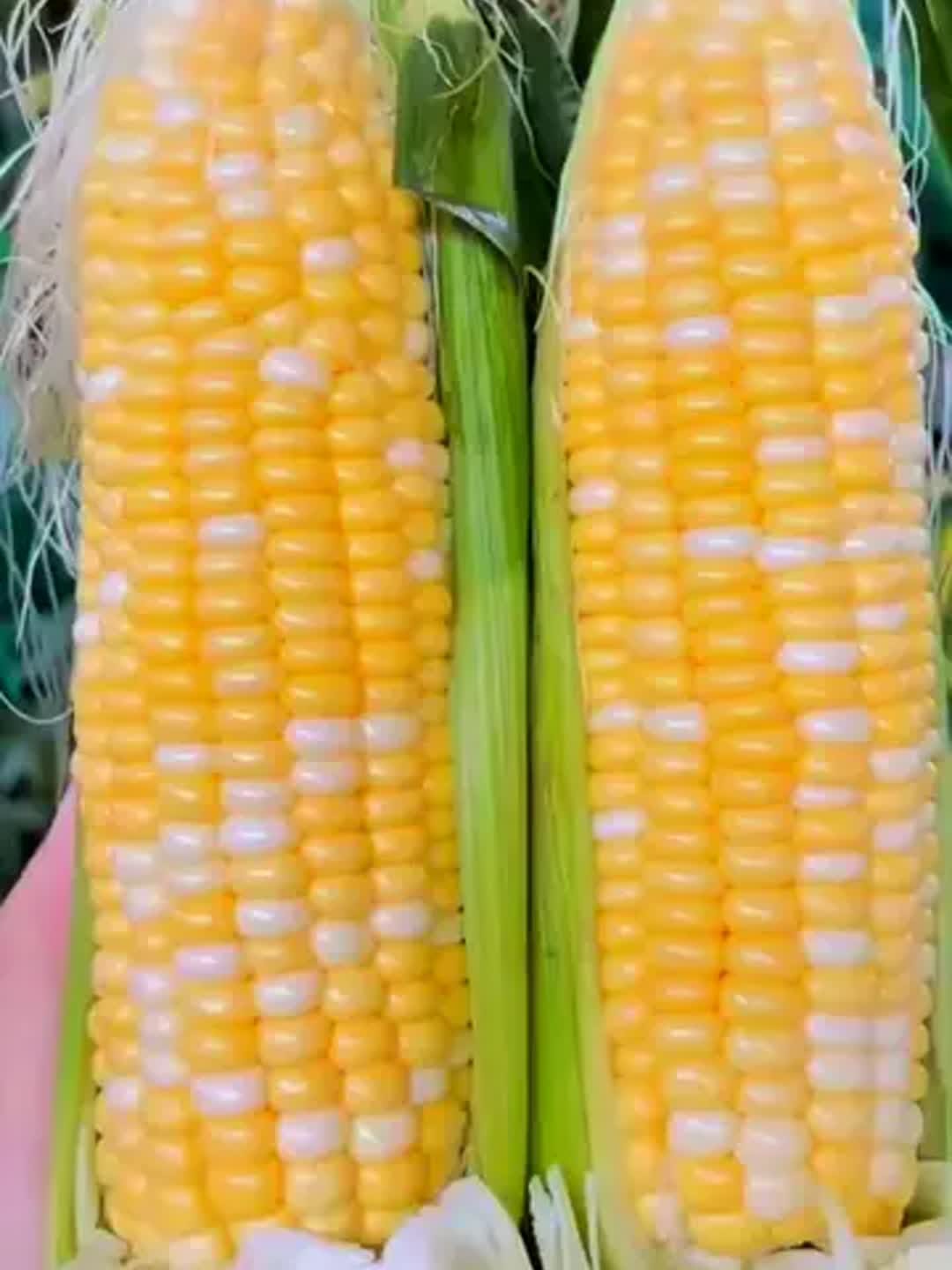 【农小匠】金银糯玉米现采现发新鲜玉米清香甜糯带叶鲜玉米