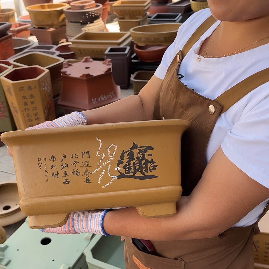 紫砂花盆盆景艺术