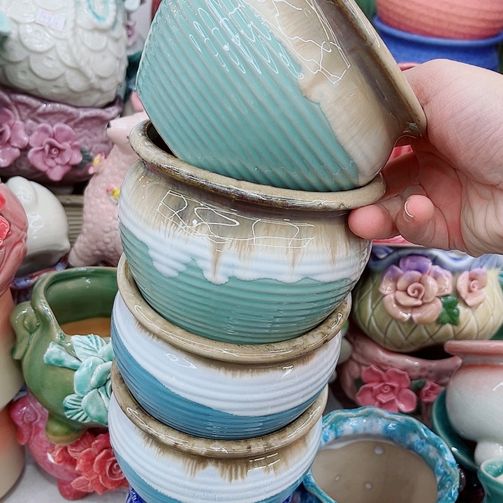 多肉植物陶瓷花盆