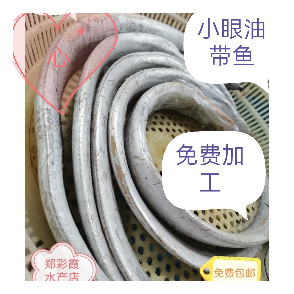 本地小眼油带鱼5斤一份8两-9两一条