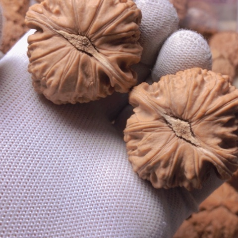 【闪购商品】桃核吊坠白狮子头狮子头