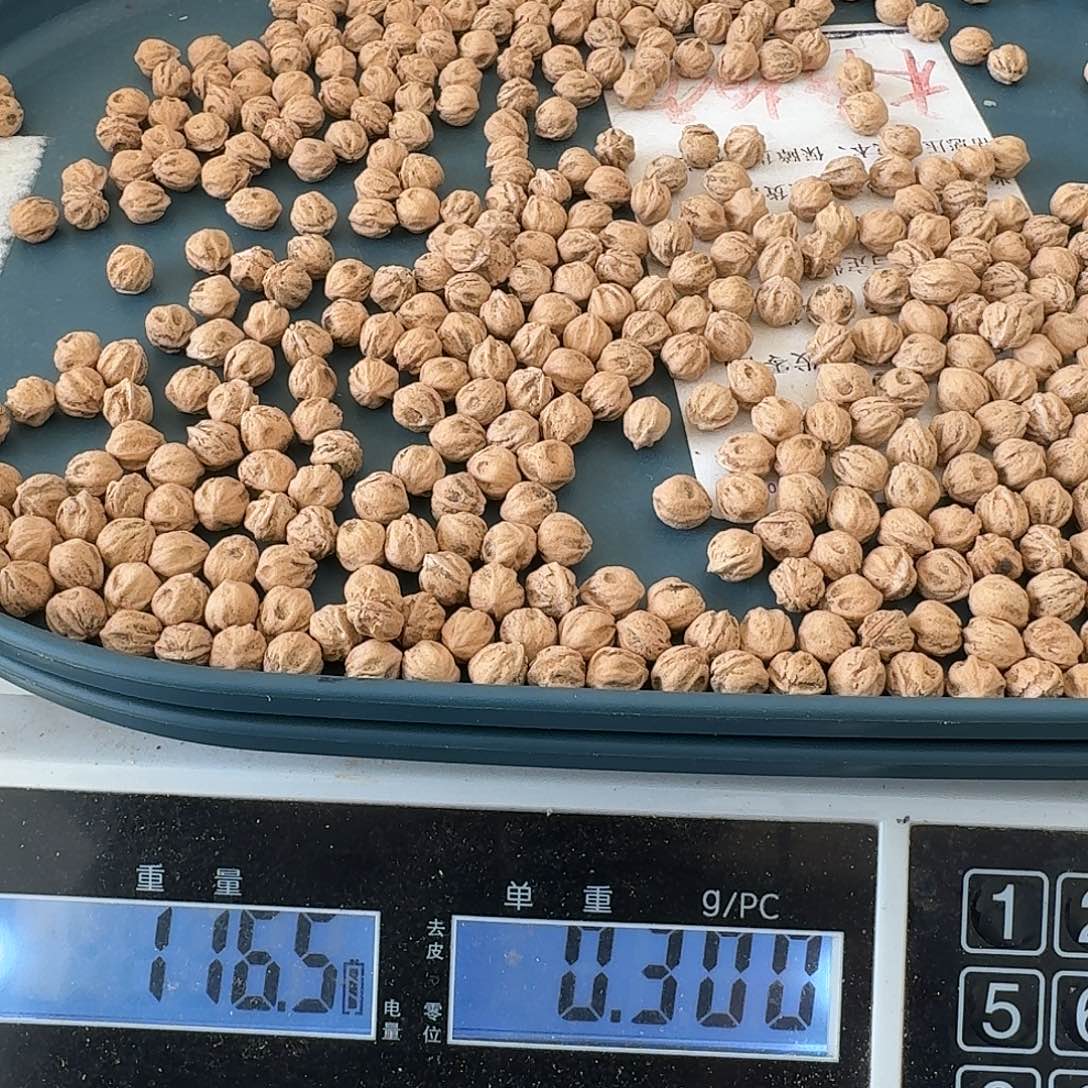 水***滟吊坠柏香籽/百香籽8.25+116克TG360