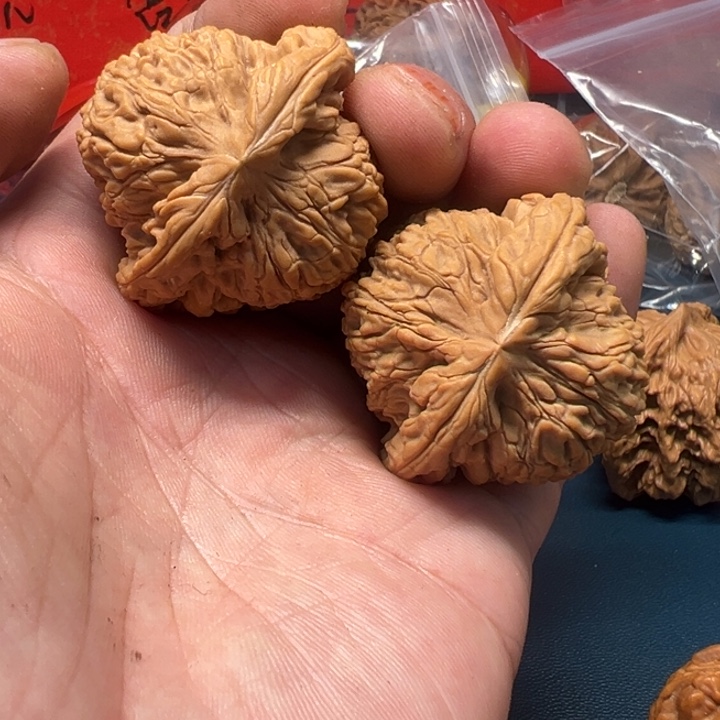 ****辞大叶紫檀（黑酸枝木类）