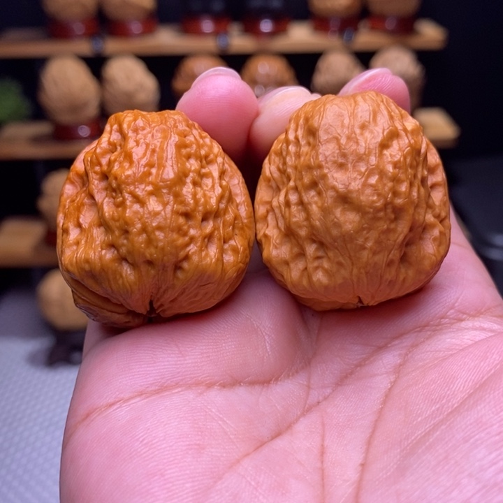 木质类云铁龙脊妖蝉30号37尺