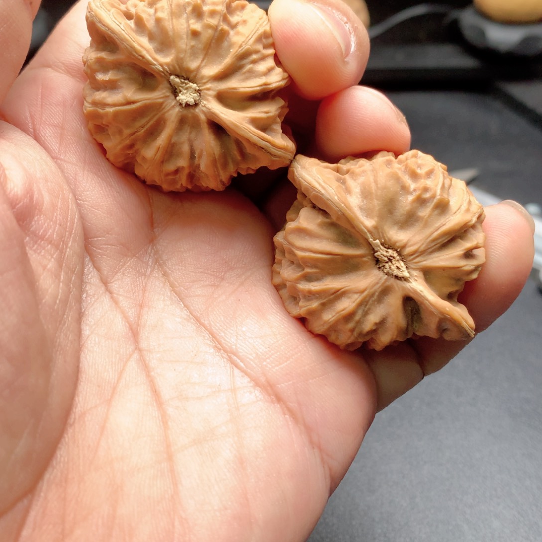 文玩核桃把件宫灯（磕尖水尖）