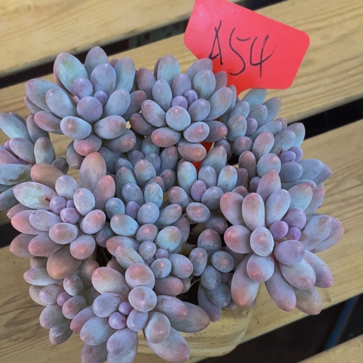 是吗这不还没有下班么