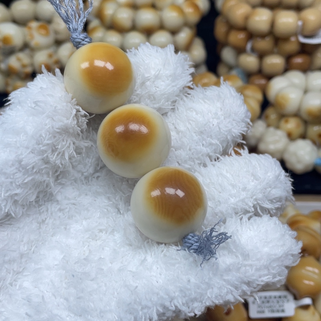 菩提根/象牙果手串12.12.10圆珠棒