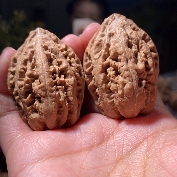 文玩核桃把件东北楸子小路 510