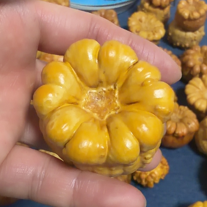 夏***香墨西哥七彩疙瘩葫芦