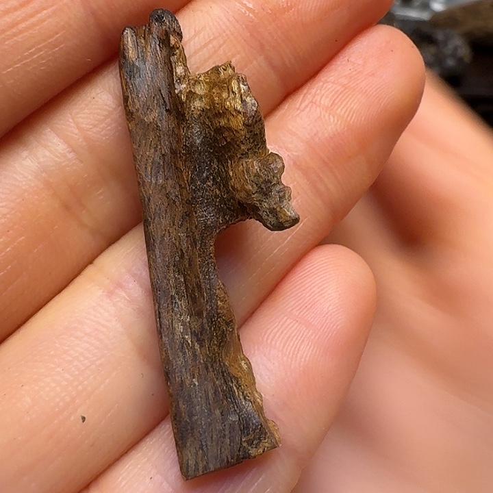 撞***头静水星洲系沉水1.18克！！！