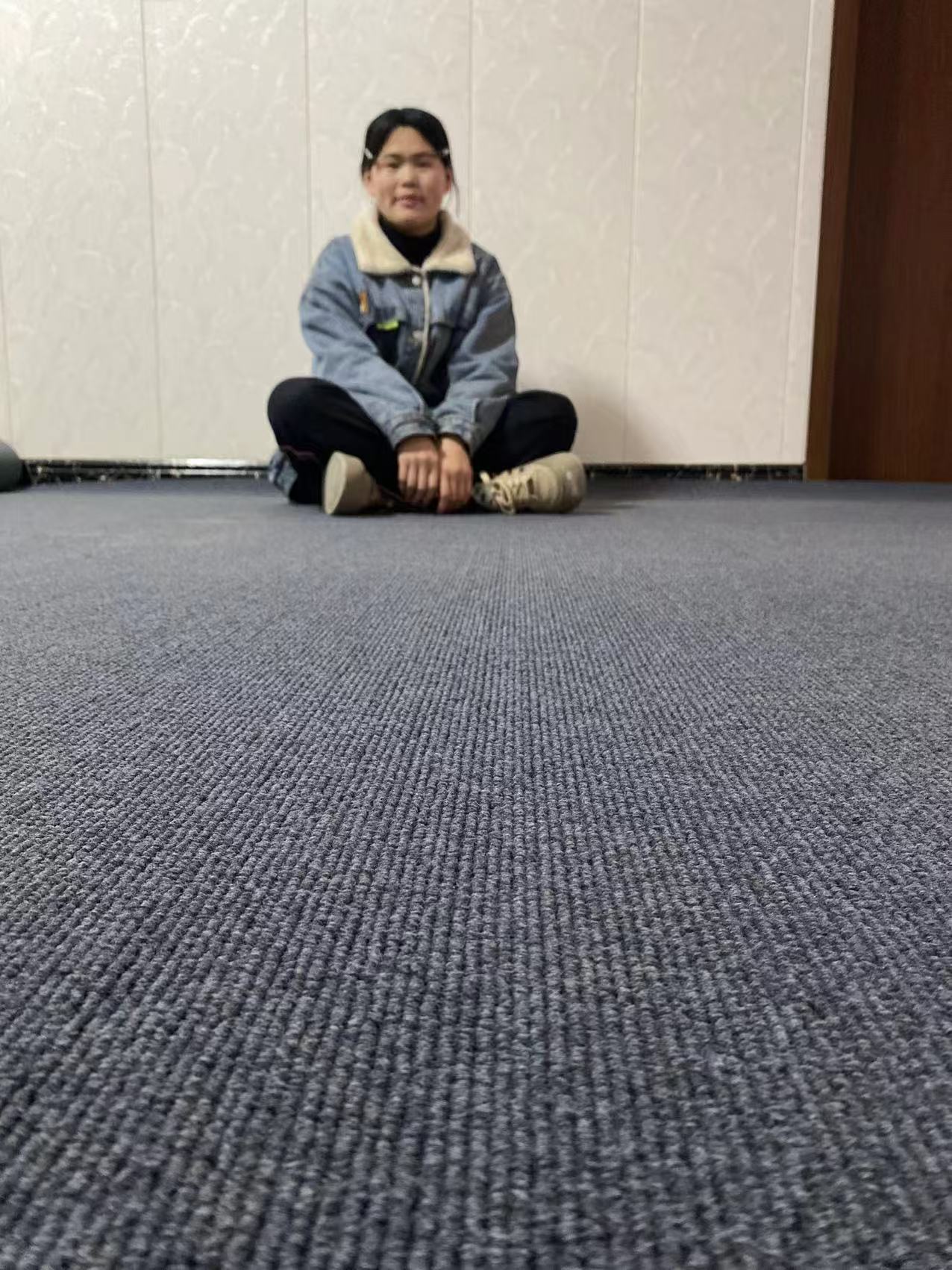 地毯家用客厅地垫房间卧室加厚主卧保暖隔音防滑防潮办公室出租房