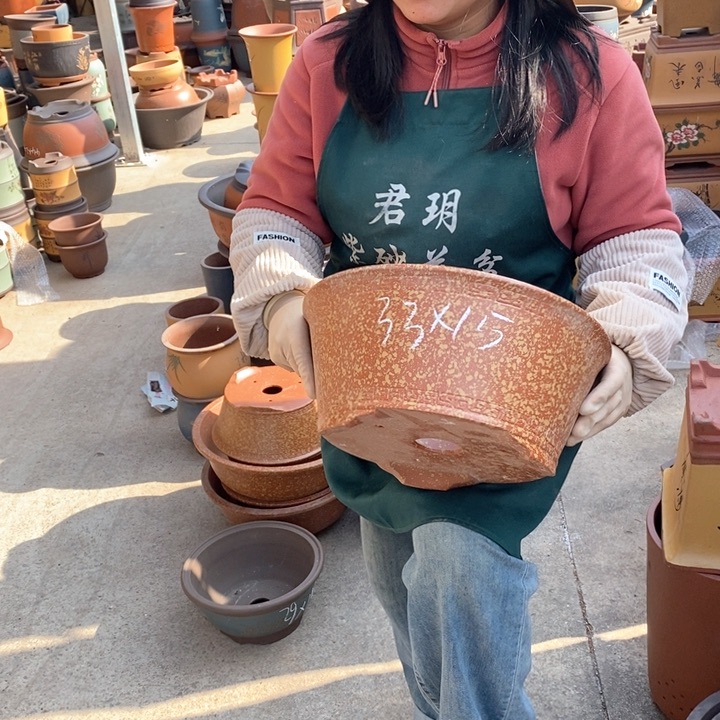 紫砂花盆盆栽花卉苗木种植