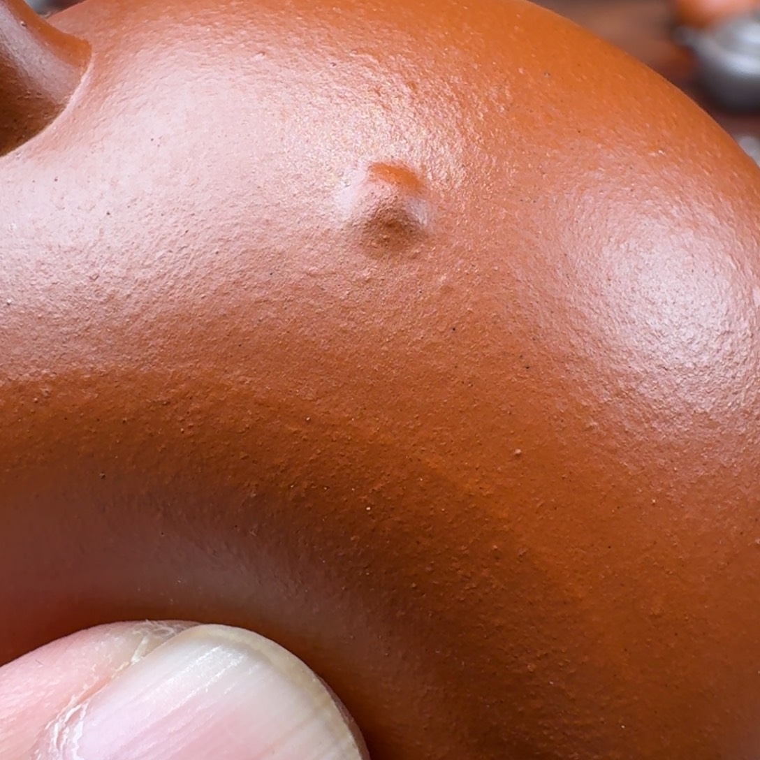 茶壶紫砂鼓腹水平壶，起泡