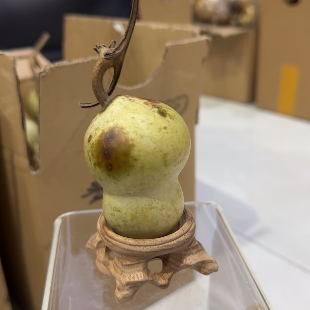 葫芦了饿了咯来乐乐乐乐乐乐咯哦