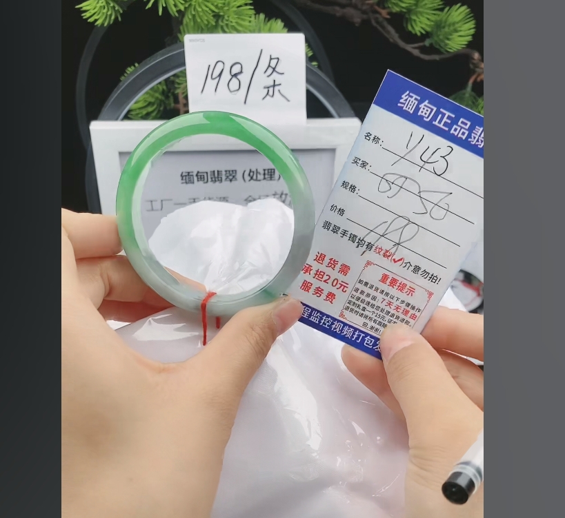 Y43缅甸翡翠手镯处理198/条【一物一证】实物以直播间为准