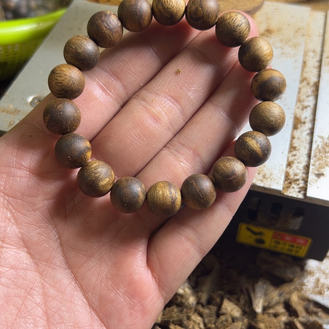 嘘***声高油脂乌身圆叶品种卡1.2单圈