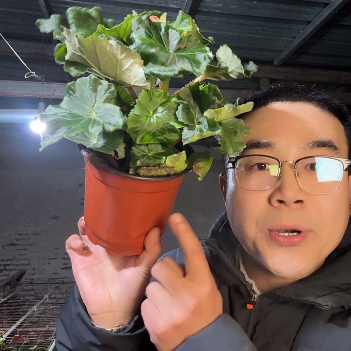 凡***晨完全开放公主粉➕保温
