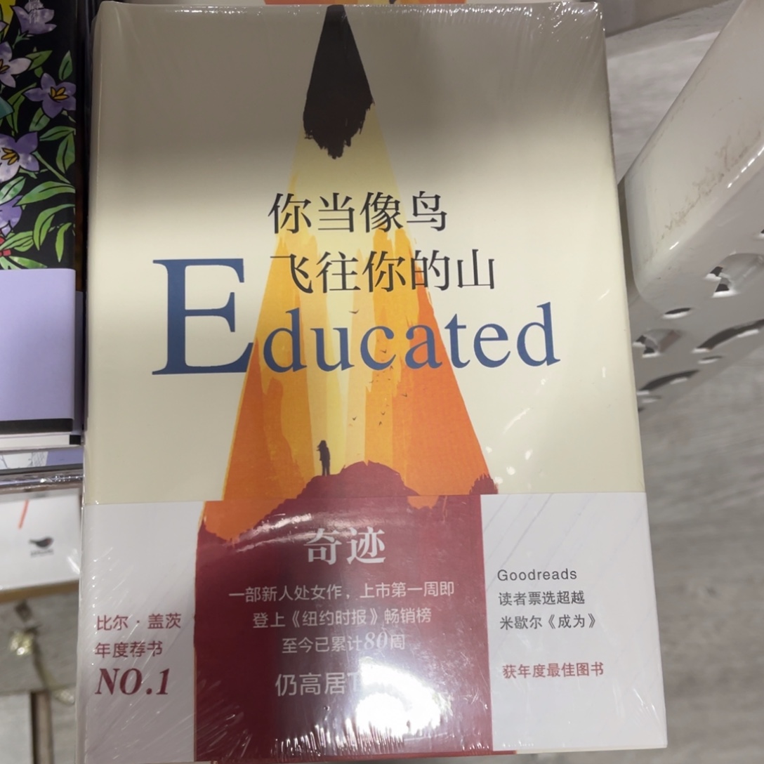 你当像鸟飞往你的山精装^_^