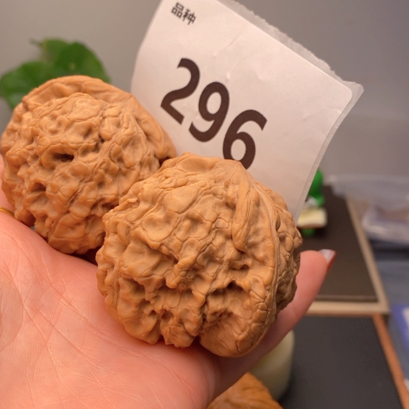 【闪购商品】文玩核桃吊坠用****3296全品龙鼎52