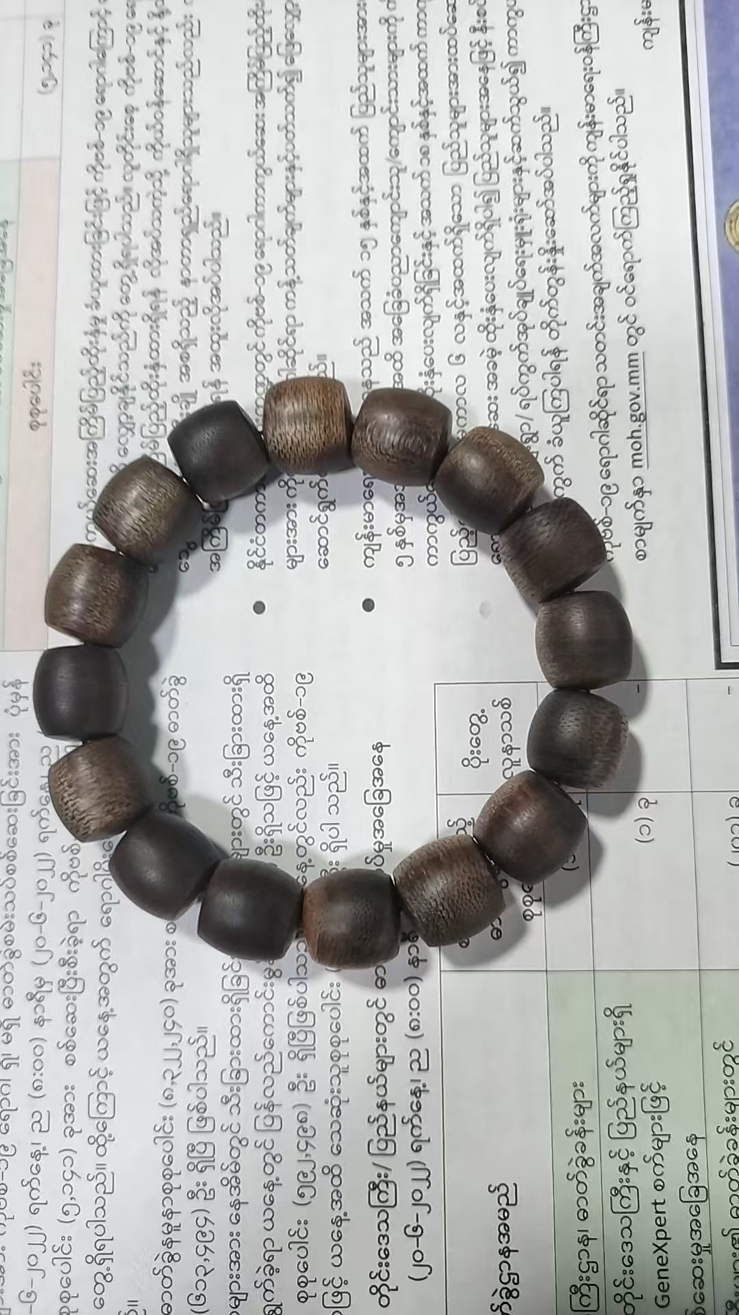 （阿帅专属)   AS1-SP28- 高端沉香手串 -多样性发货