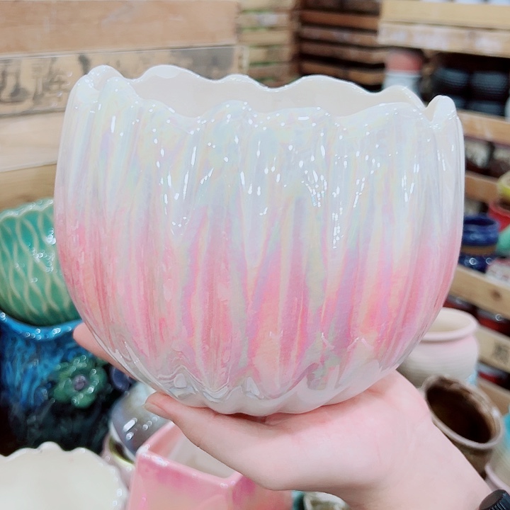 花盆有孔！订单凑满10米包由！