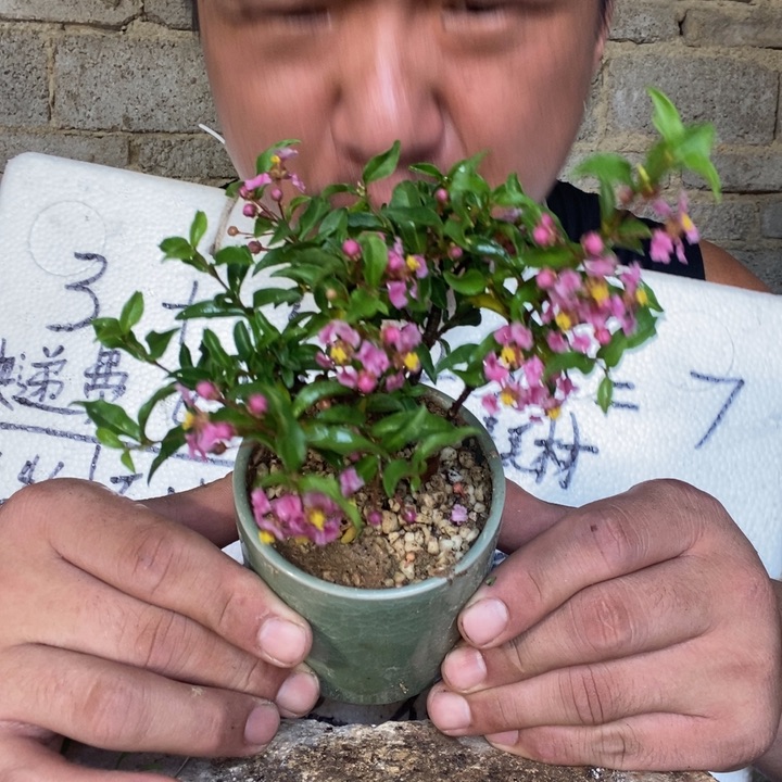 退款拉黑一物一拍58