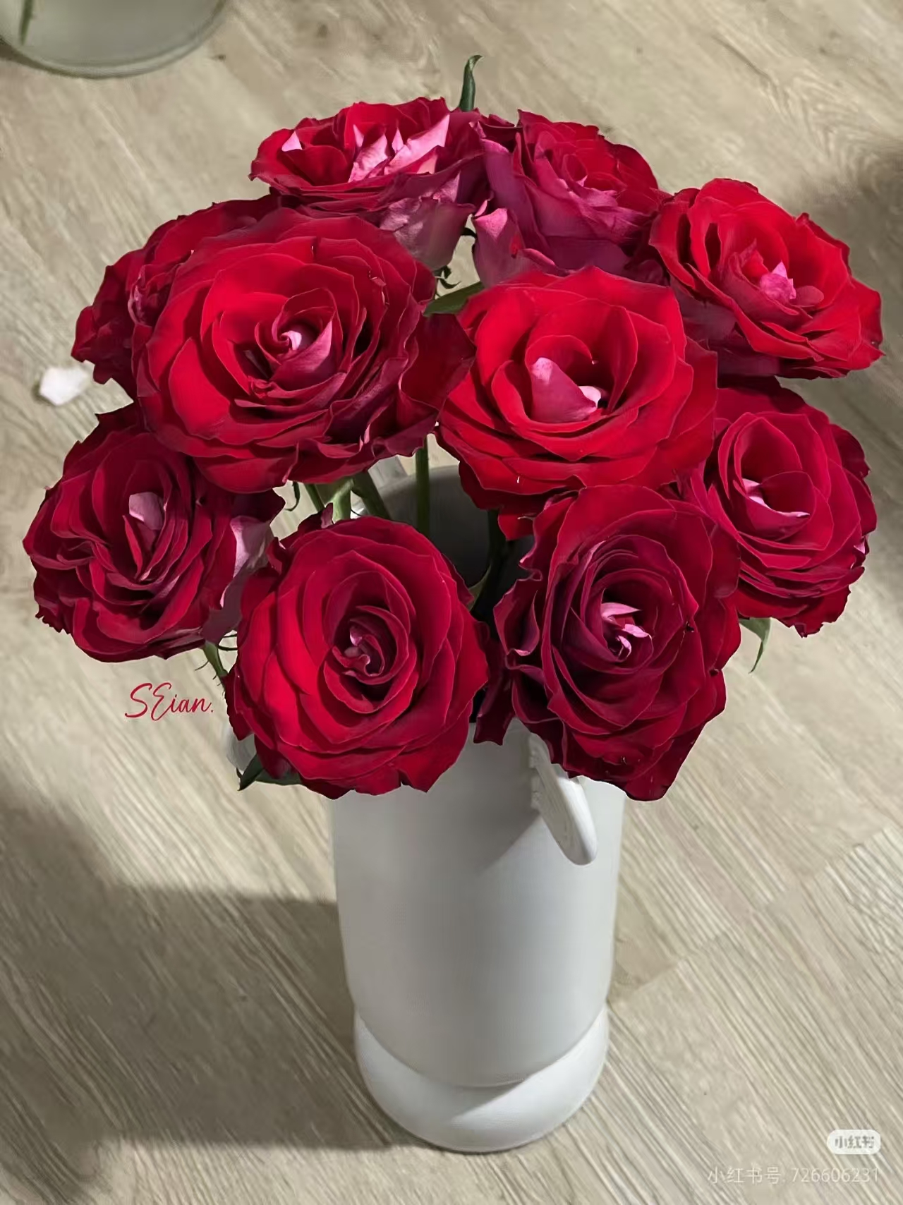 冰上芭蕾玫瑰     相同地址任意两单送配草一束