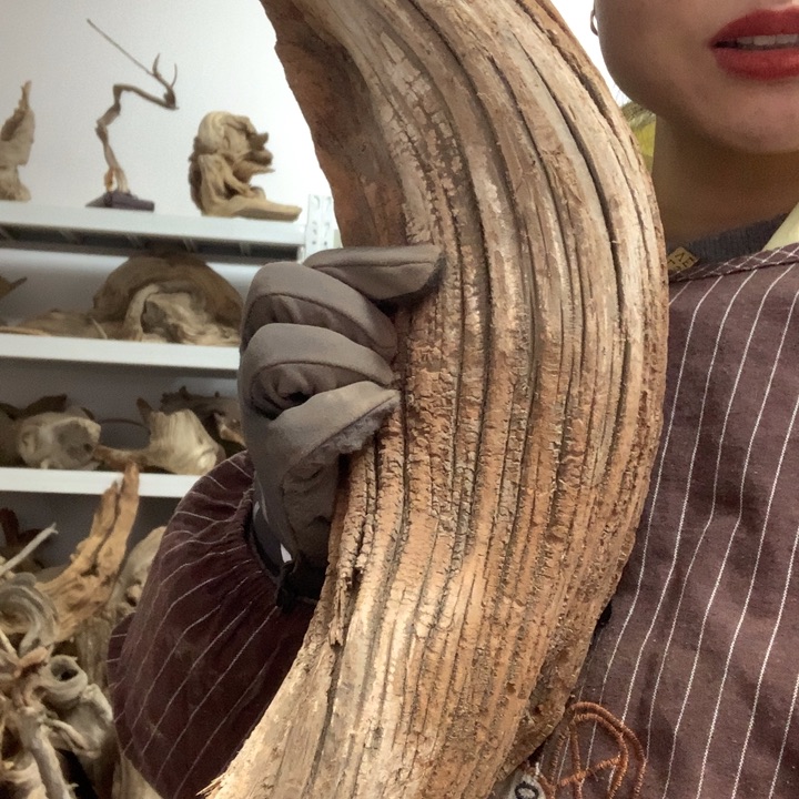 天***空木太行崖柏毛料板根