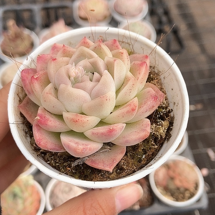 一物一拍满十元包邮发货 201