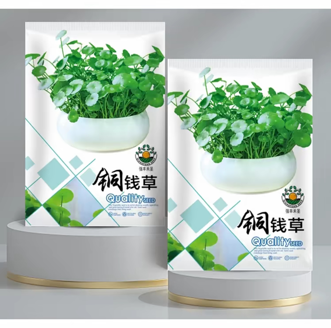 店满5包邮包邮-铜钱草种子每包约150粒