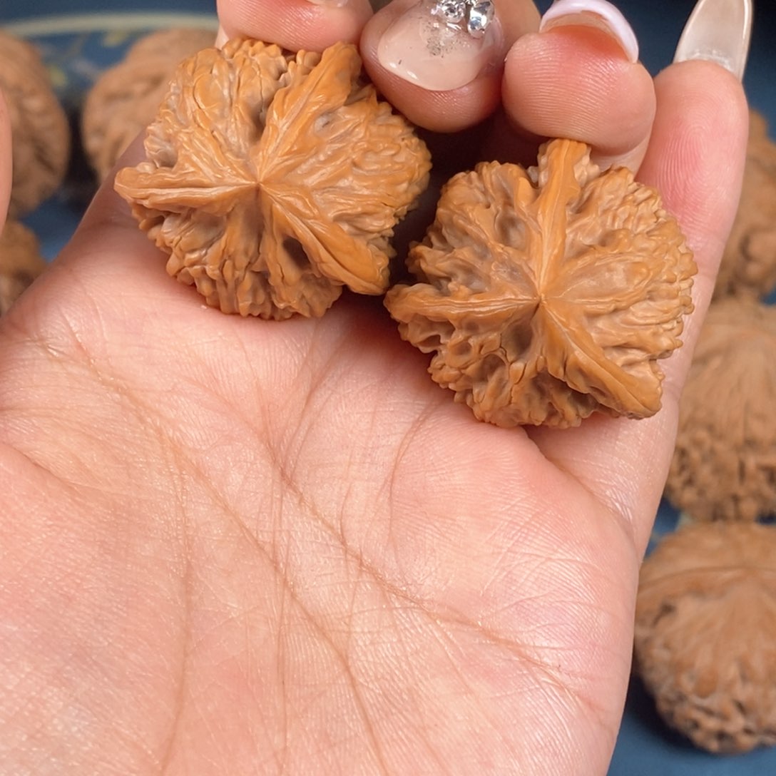 核桃文玩核桃文山三棱