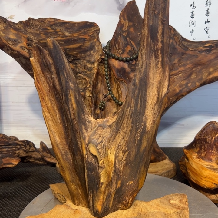 用***8木直播啦一物一拍