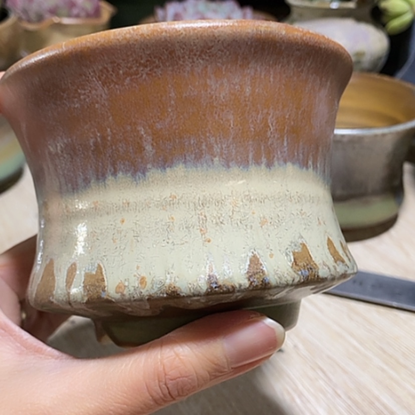 【闪购商品】红陶口11