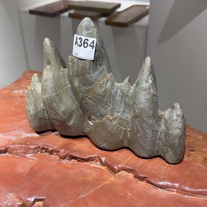 黑***者1111111111111111111111111