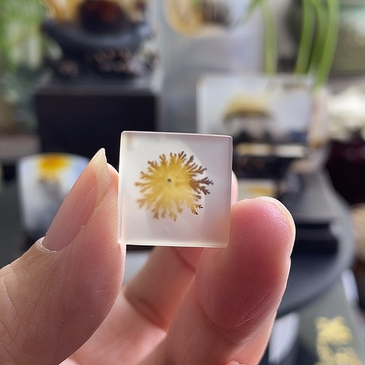 玛瑙/玉髓未镶嵌珠宝半成品