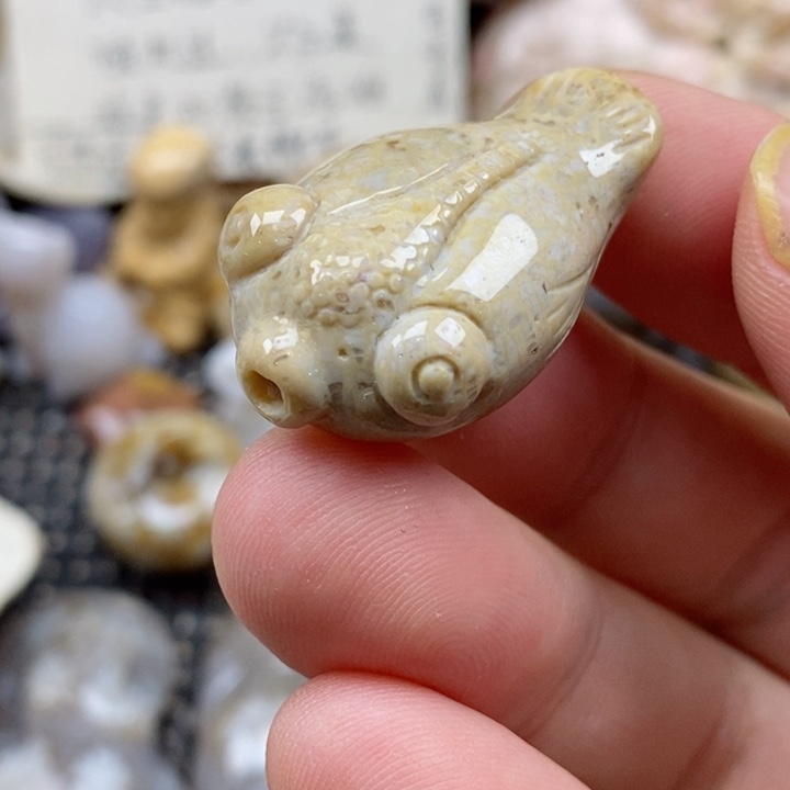 颈饰未镶嵌硅化珊瑚（珊瑚玉）小