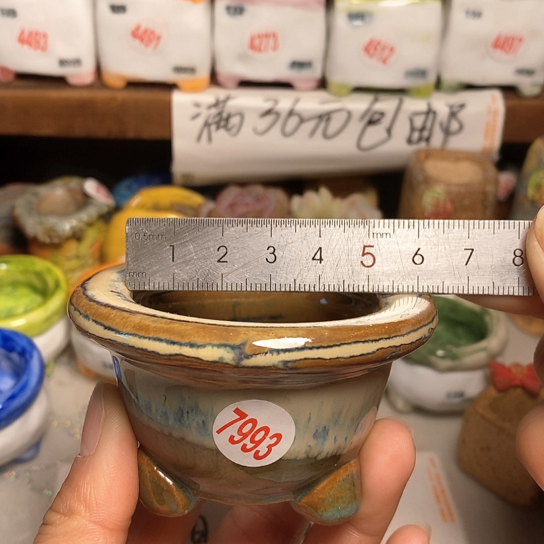 红陶拍5送一个小