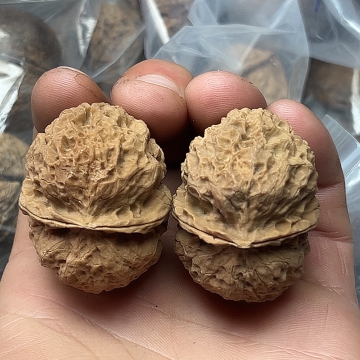 核桃18号蜂窝纹元宝42尺