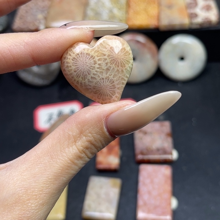 未镶嵌吊坠硅化珊瑚（珊瑚玉）