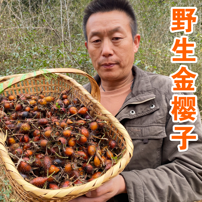 深山野生金樱子干果金英子果肉去刺去籽泡茶泡酒药材刺梨子干泡水