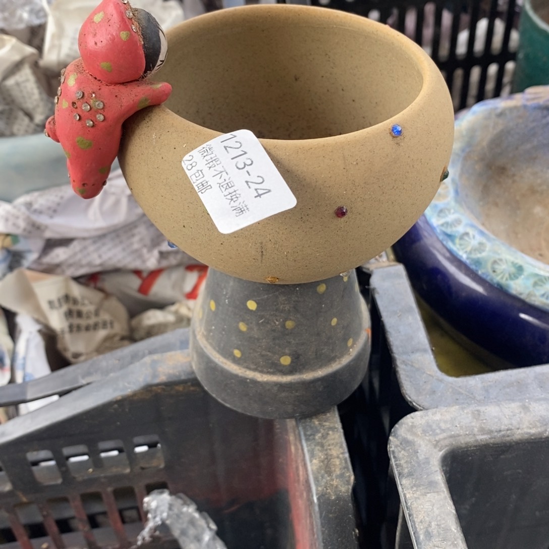 24号多肉盆口径8.4