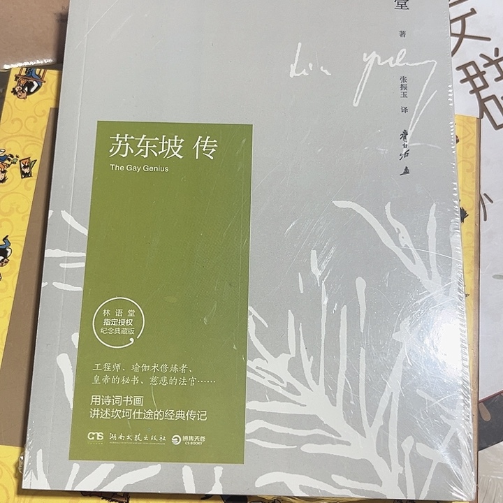 苏东坡传全新推荐