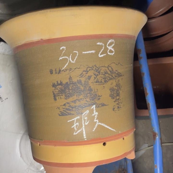 现在在在做啥啧啧啧啧  