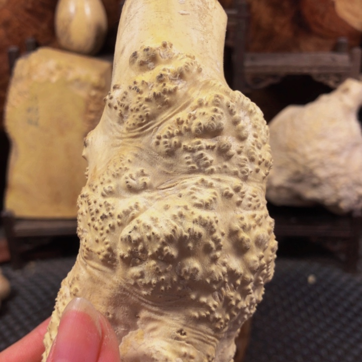 木精**作木料木料木料木料