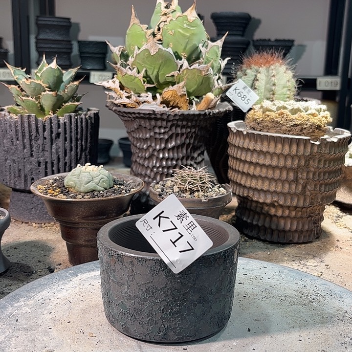 景德镇手工素里口8.5高6