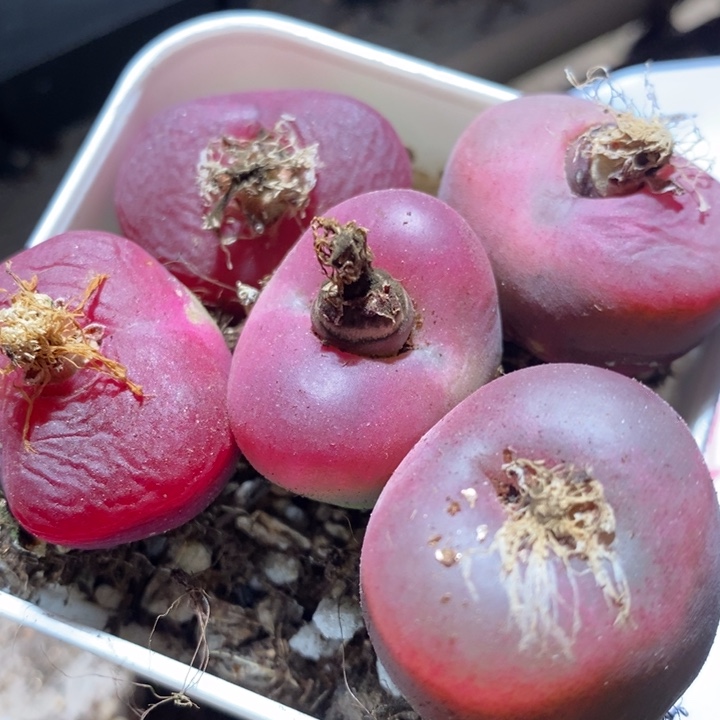 3090一组一组一组